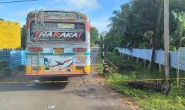 மல்லாவி வீதி விபத்தில் கண்ணவெடி அகற்றும் பணியாளர் பரிதாபகரமாகப் பலி!