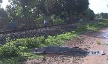 கிளிநொச்சியில் கொலை சிறை இருந்த பிரகாஸ் பிணையில் வெளியே வந்த பின் சடலமாக மீட்பு!!