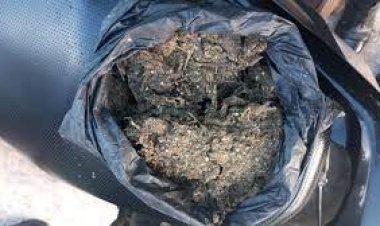 யாழ்.மத்திய பேருந்து நிலையத்தில் கஞ்சாவுடன் இளைஞன் கைது!