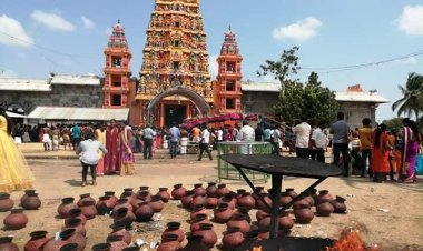 வற்றாப்பளை கண்ணகி அம்மன் ஆலயத்தில் திருட வந்தவர்களை கொத்திய பாம்பு!