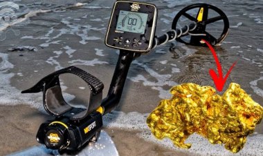 புலிகளால் புதைக்கப்பட்ட தங்கத்தை எடுப்பதற்கு ஜேர்மனியிலிருந்து ஸ்கானர் கொண்டு வந்த டொக்டர்