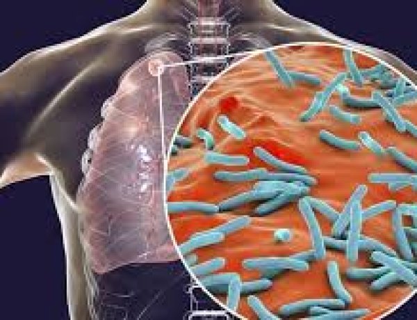 யாழில் பிரபல ஆண்கள் பாடசாலை மாணவர்களுக்கு காசநோய் ..