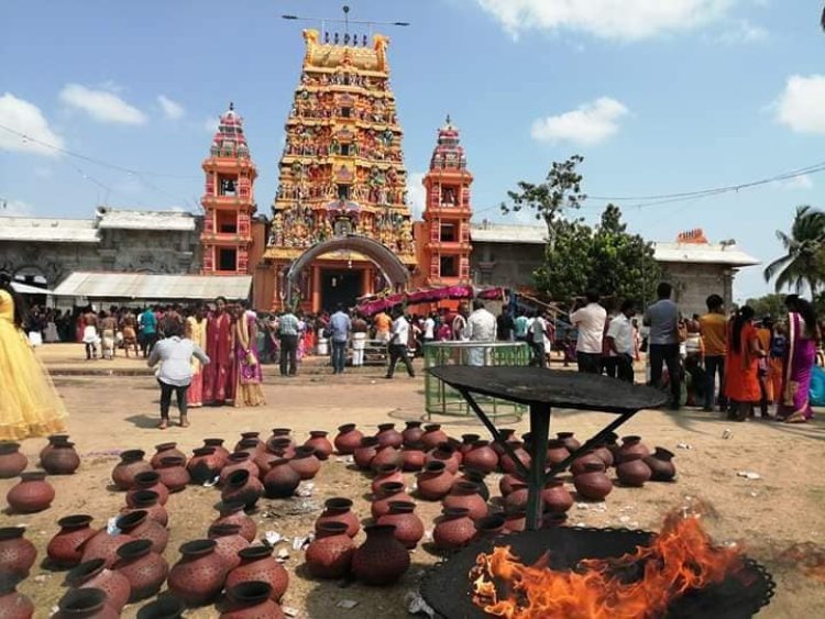 வற்றாப்பளை கண்ணகி அம்மன் ஆலயத்தில் திருட வந்தவர்களை கொத்திய பாம்பு!