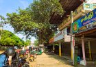 ஆலமரத்தை அகற்றும் முயற்சிகளை கைவிடுக